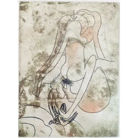 Roberto Matta FMR plancha 6