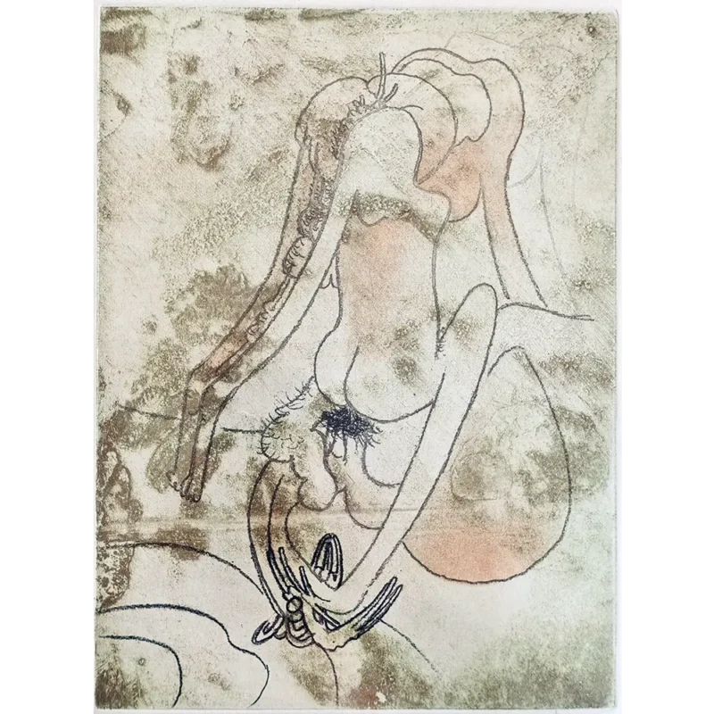 Roberto Matta FMR plancha 6